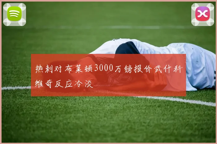 热刺对布莱顿3000万镑报价武什科维奇反应冷淡
