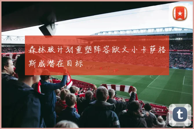 森林狼计划重塑阵容欧文小卡萨格斯成潜在目标